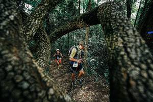 BIB: 
                            <button type="button" onclick="openModal(25392094)" class="btn btn-primary btn-sm float-right btn-popup" data-toggle="modal" data-target=".modal-high-quality">
                        <i class="fas fa-shopping-cart"></i> Add to Cart
                    </button>
                                            <button type="button" onclick="isThisMe(25392094, true)" class="btn btn-success btn-sm float-right btn-popup btn-isme hidden" data-toggle="tooltip" data-placement="bottom" title="นี่คือรูปของคุณใช่ไหม คลิกที่นี่เพื่อเอาเข้าอัลบั้ม">
                        <i class="fas fa-plus"></i> Add to album
                    </button>
                    <button type="button" onclick="isThisMe(25392094, false)" class="btn btn-warning btn-sm float-right btn-popup btn-isnotme hidden">
                        <i class="fas fa-ban"></i> Remove from album
                    </button>